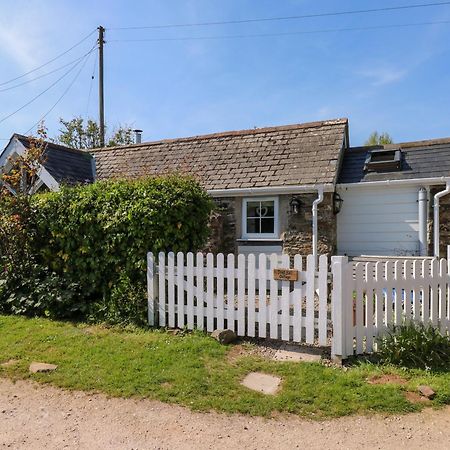 Toad Hall Cottage Totnes Zewnętrze zdjęcie